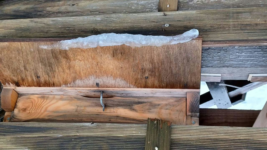 Endlich Winterschlaf Bild 1