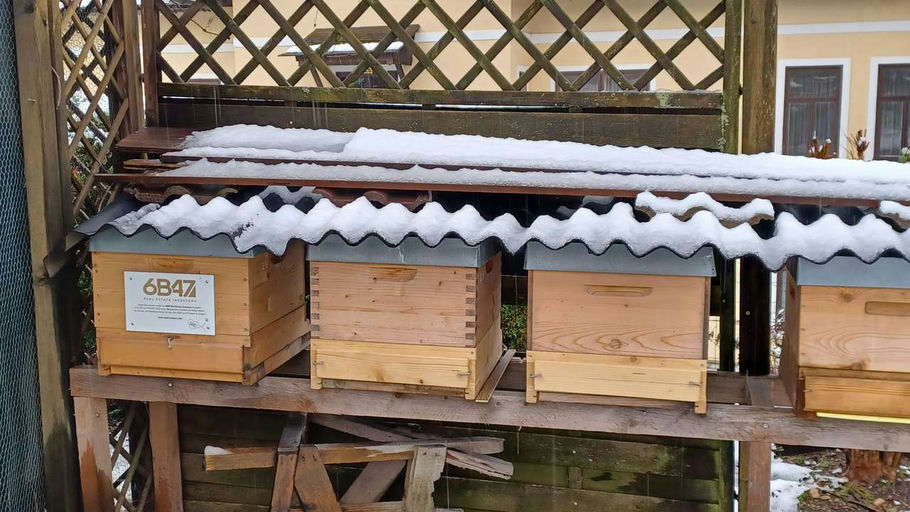 Endlich Winterschlaf Bild 2