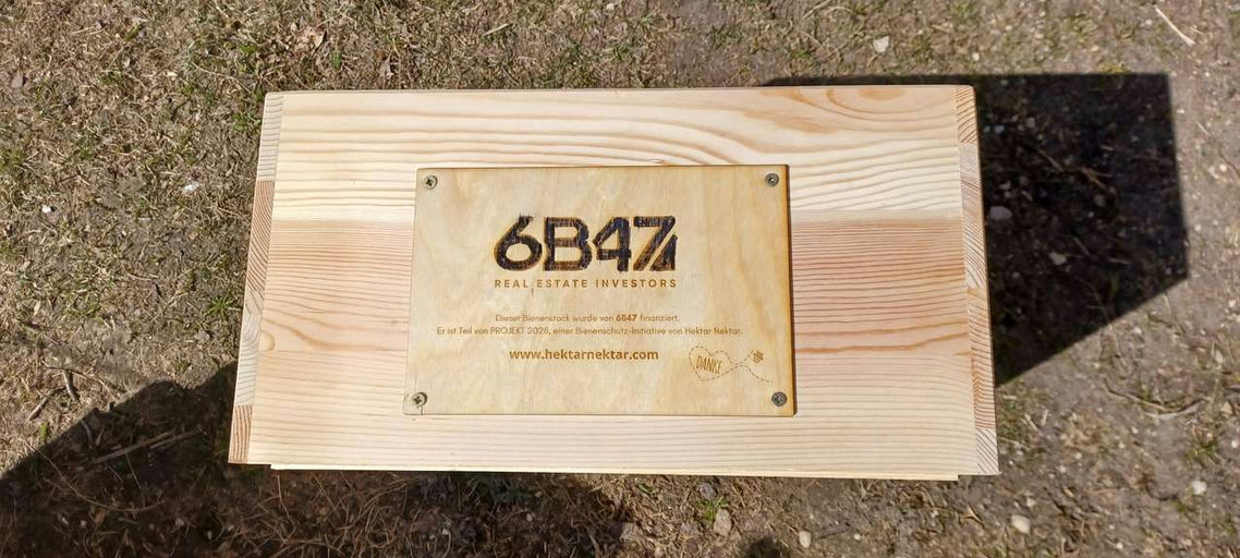 Mein 2. Jahr mit 6B47 beginnt - Vielen Dank!!!