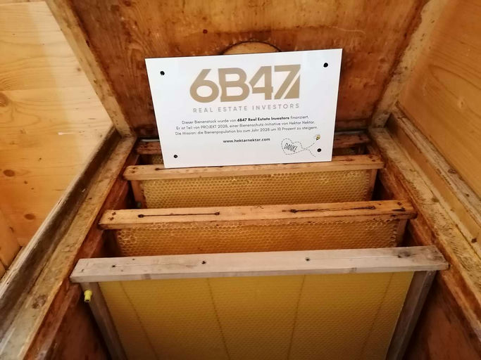 Vorbereitung Ankunft Bienenvolk