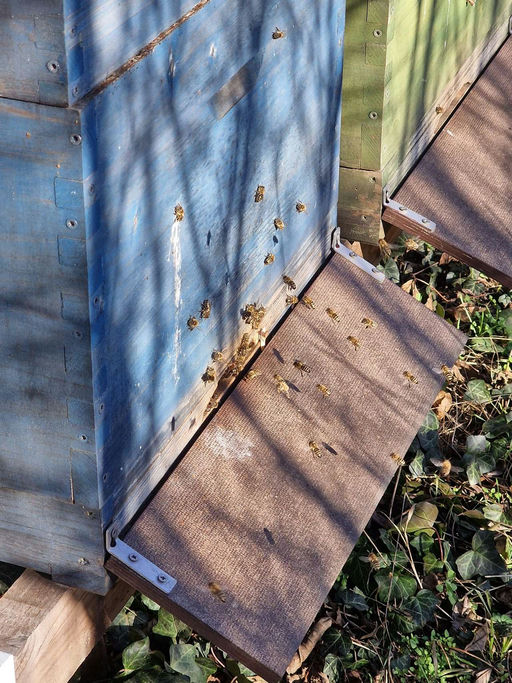 Die ersten Sonnenstrahlen