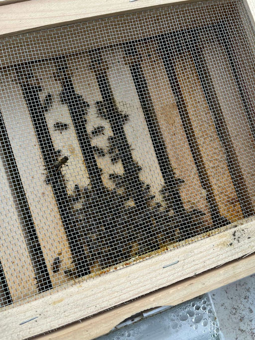 Jänner - Neues Jahr