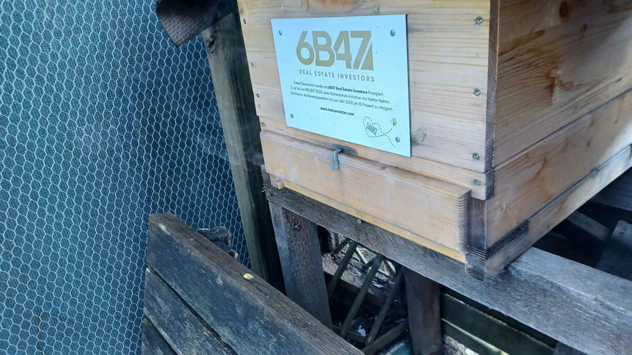 Oxalsäure verdampfen