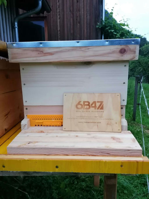 Sommer, Sonne, Sonnenschein