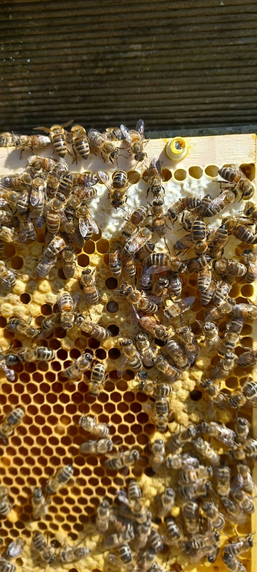 1 Monat nach Einzug, erste Durchsicht - alles OK