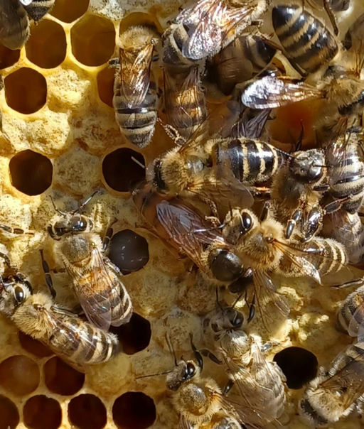 1 Monat nach Einzug, erste Durchsicht - alles OK Bild 3