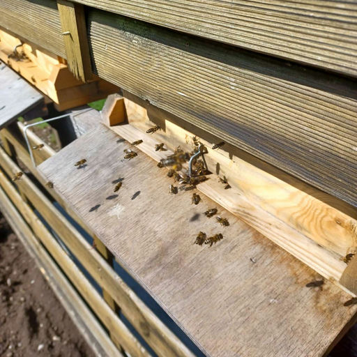 Wann wird es endlich kälter....