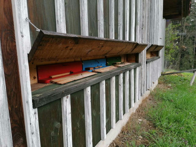 Kontrolle von außen