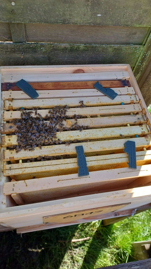 Kontrolle des Sitzes