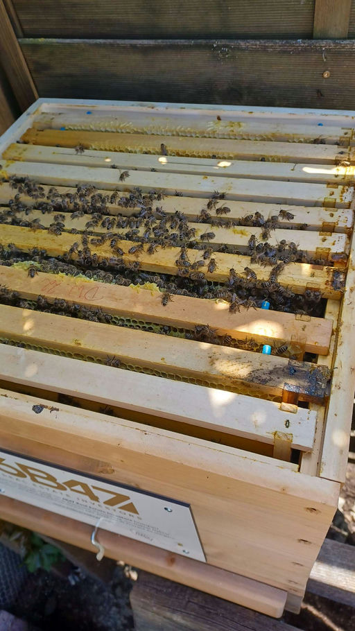 Fertig aufgefüttert!