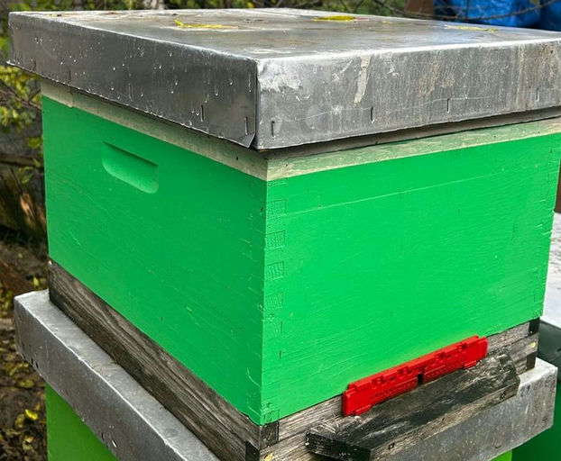 November, regnerisch und "kalt"