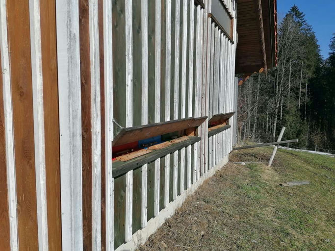 Adventzeit - ruhige Zeit?