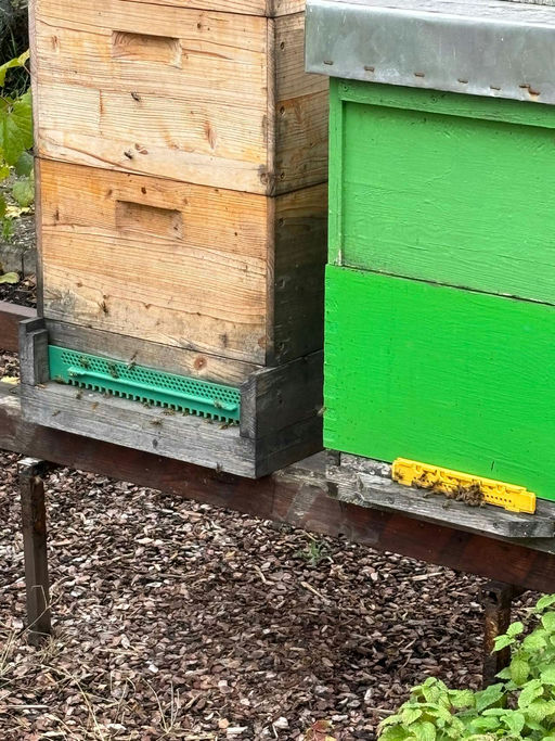 September, die erste Hürde für schwache Völker