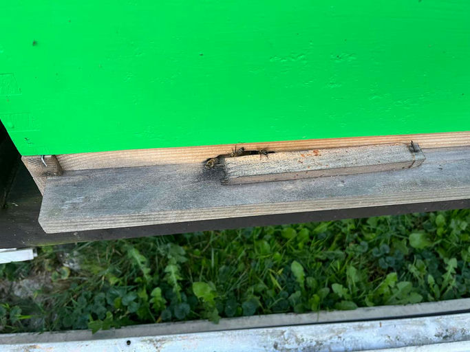 September - Restliche Fütterung der Bienen