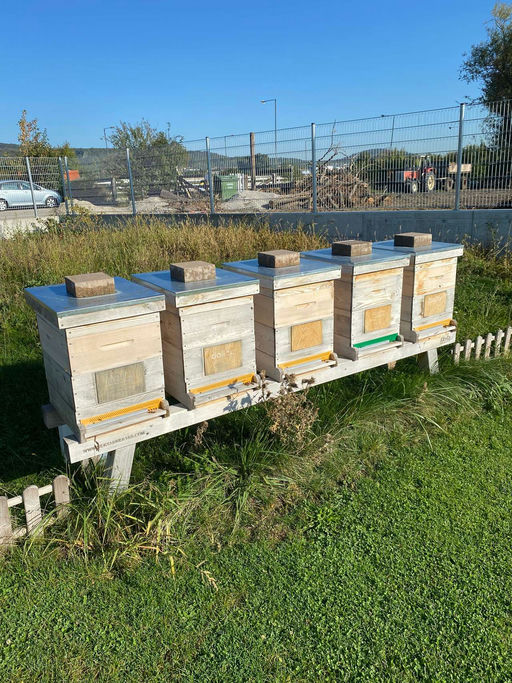 Im Jänner mit Hoffnung