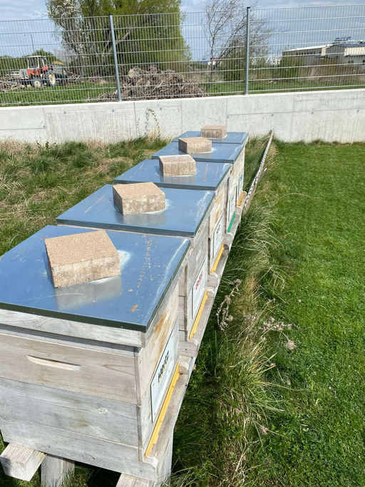 März, kurz vor dem Start