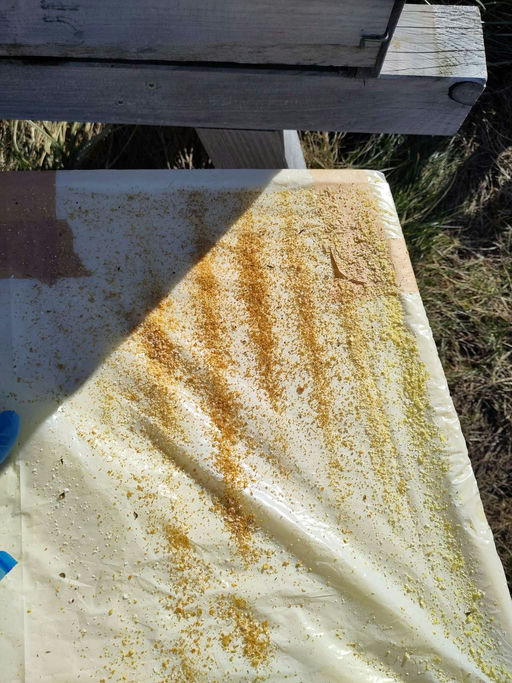 Gesundheitsuntersuchung und Vorkehrungen für den Frühling