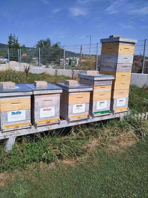 Ein spannender September!