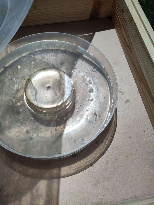 Top Entwicklung der Ableger!