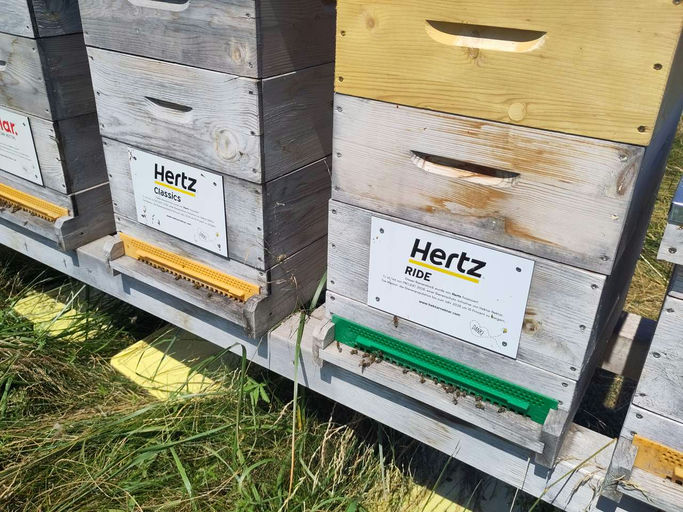 Top Entwicklung der Ableger! Bild 1