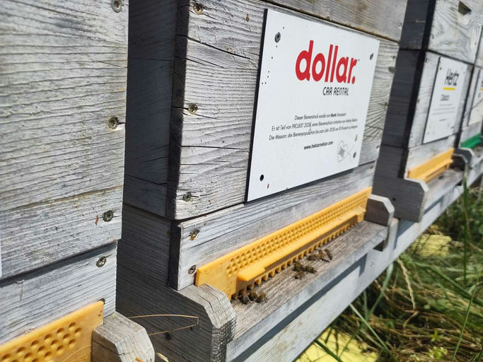 Top Entwicklung der Ableger! Bild 2