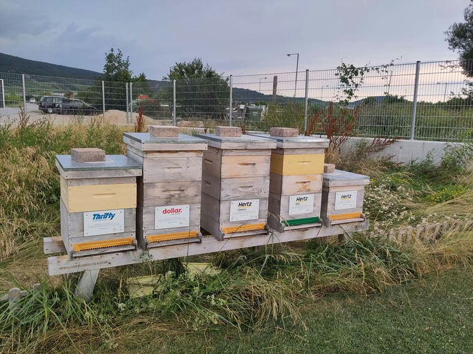 Top Entwicklung der Ableger! Bild 3