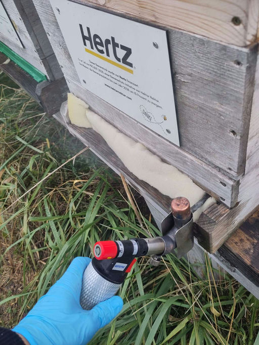 Varroa Restentmilbung war sehr erfolgreich! Bild 2