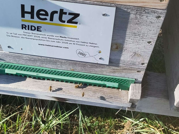 Die Durchlenzung beginnt - aber was ist das?