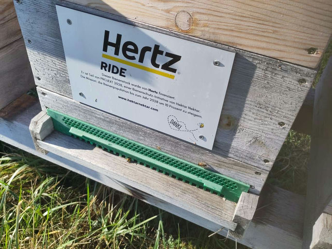 Die Durchlenzung beginnt - aber was ist das? Bild 1