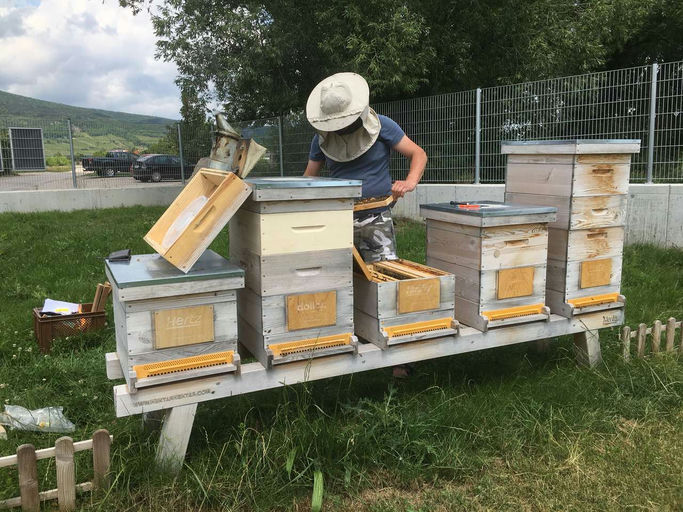 Nun hoffen wir auf ein gutes Monat Juni...