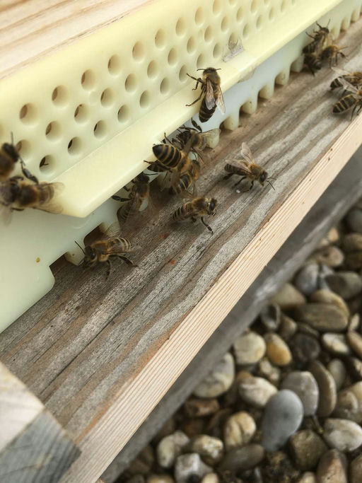 kalter April macht Sorgen