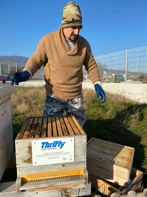 Der Winter ist da, Honig ebenfalls