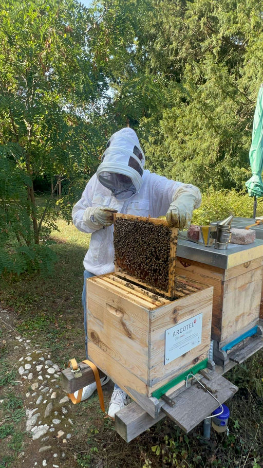 Behandeln und füttern Bild 2