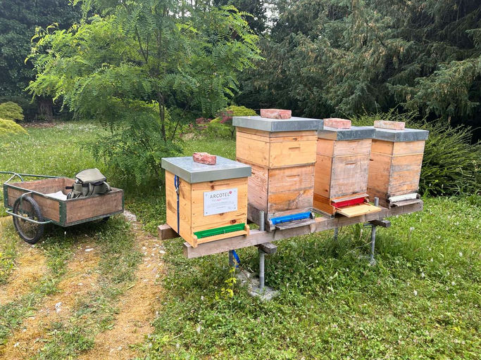 Die Projekt 2028 sind da!