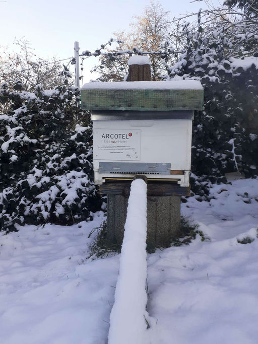 Adventszeit wird still verbracht