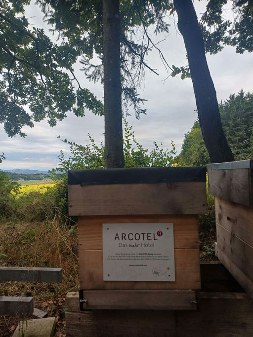 Vorstellung und Danksagung