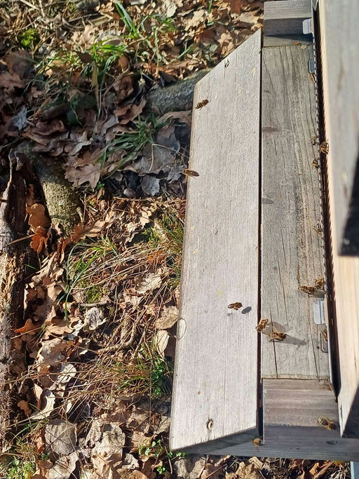 Die Flugshow geht in eine neue Runde