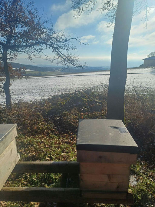 Die Flugshow geht in eine neue Runde Bild 1