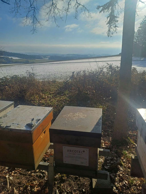 Die Flugshow geht in eine neue Runde Bild 2