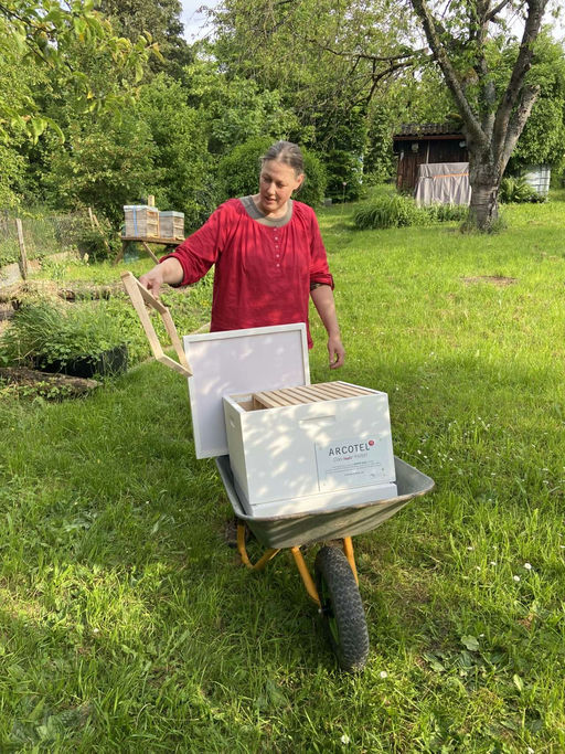 Schöne Beute - noch keine Bienen.