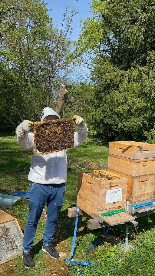 sieht nach guter Ernte aus Bild 4