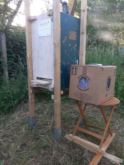 Die Bienen sind da! Bild 3