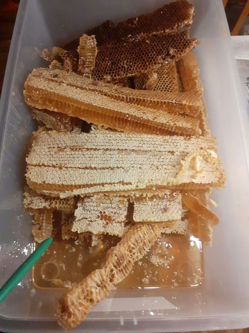 Presshonig. Der leckerste aller Honige! Bild 2