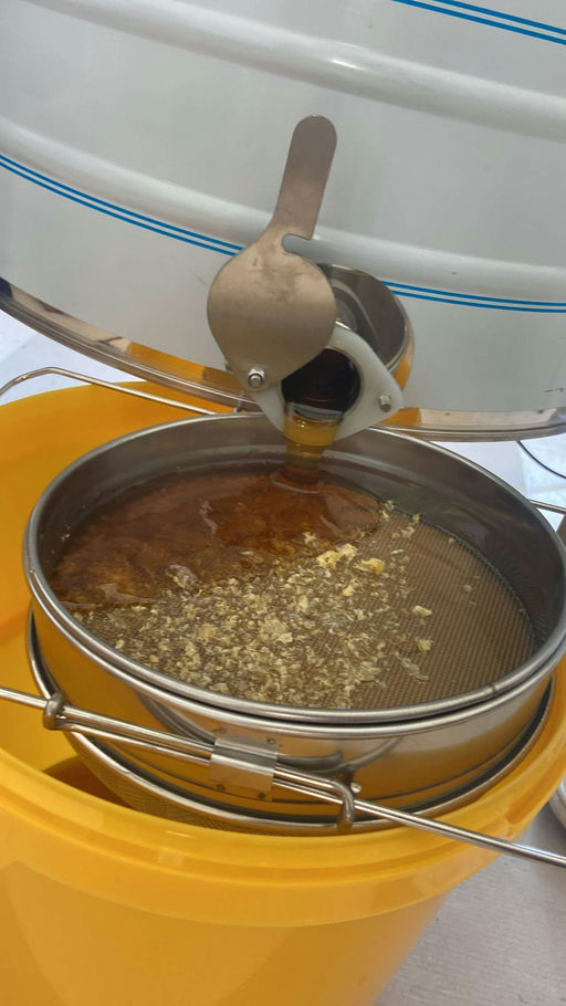 Honigernte 2023 und Ankunft der Bienen Bild 1