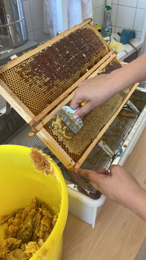 Honigernte 2023 und Ankunft der Bienen Bild 2