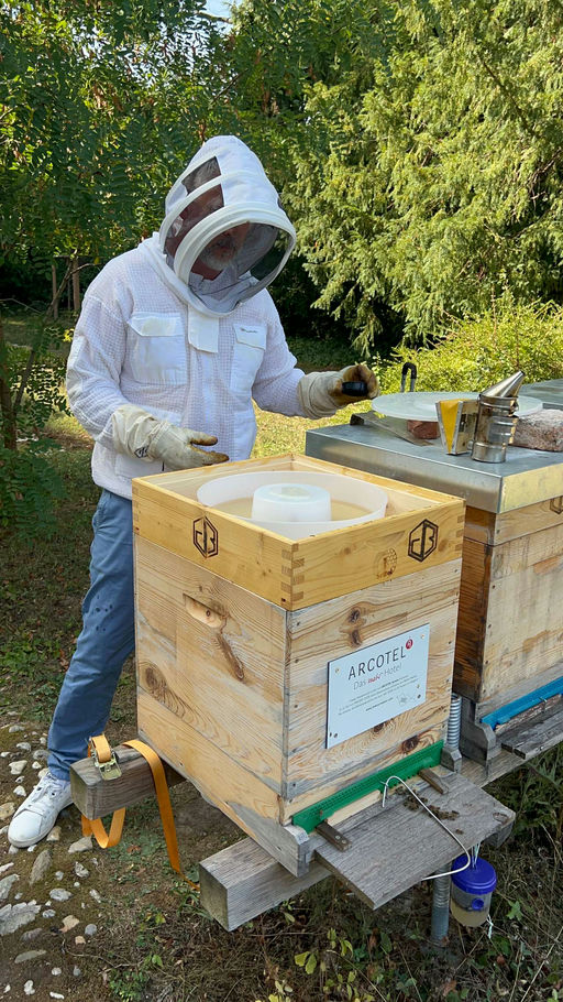 Behandeln und füttern