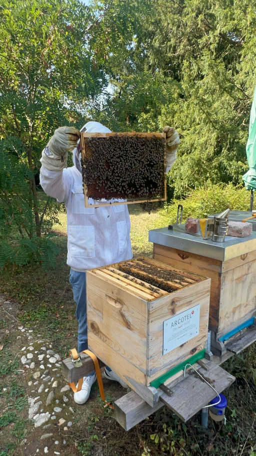 Behandeln und füttern Bild 2