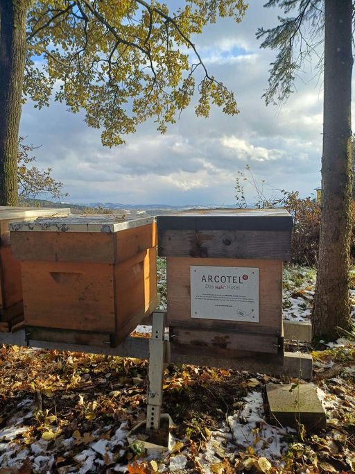 November bringt Ruhe