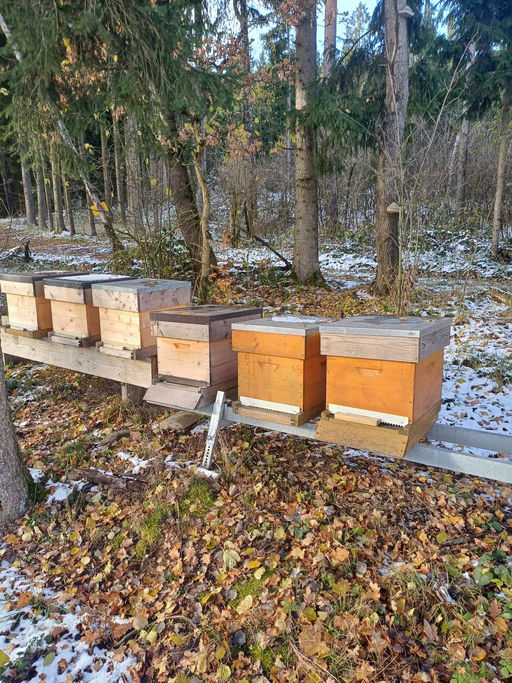 November bringt Ruhe