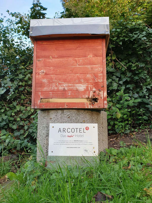 Saisonstart zum Jahresende